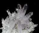 Spectacular Amethyst Crystal Cluster - Las Vigas, Mexico #31946-7